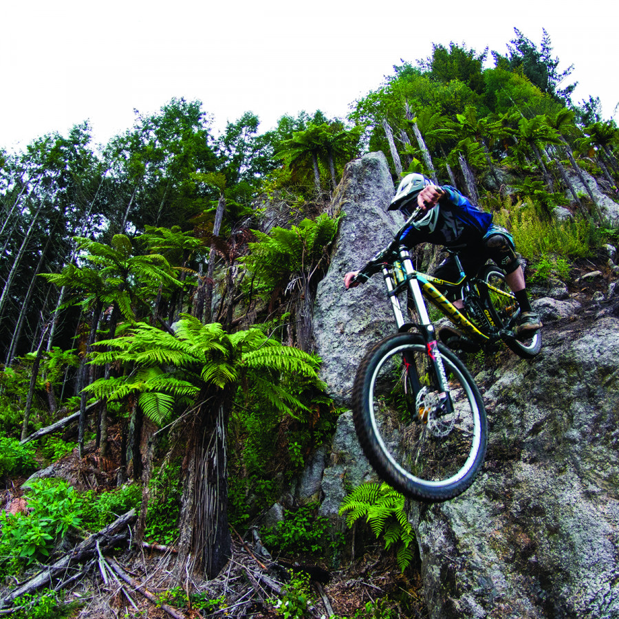 Mountain Bike Rotorua